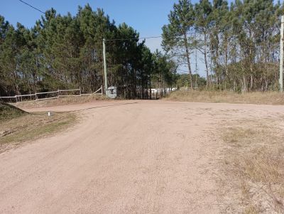 Lots Manz 221 s. 9 zona la viuda, rodeado de  bosque de pinos !!! Punta del Diablo