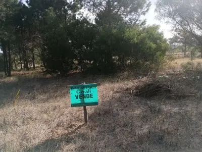 Lotes Manz 221 s. 9 zona la viuda, rodeado de  bosque de pinos !!! Punta del Diablo