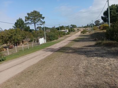 Lots Manz 221 s. 9 zona la viuda, rodeado de  bosque de pinos !!! Punta del Diablo