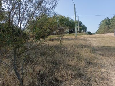 Lots Manz 221 s. 9 zona la viuda, rodeado de  bosque de pinos !!! Punta del Diablo
