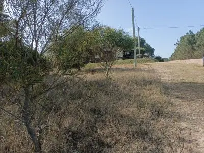 Lotes Manz 221 s. 9 zona la viuda, rodeado de  bosque de pinos !!! Punta del Diablo