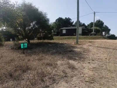 Manz 221 s. 9 zona la viuda, rodeado de  bosque de pinos !!!