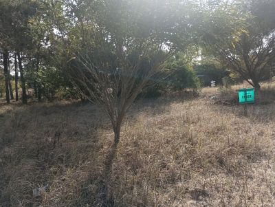 Lots Manz 221 s. 9 zona la viuda, rodeado de  bosque de pinos !!! Punta del Diablo