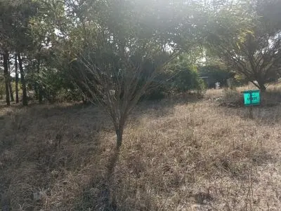 Lotes Manz 221 s. 9 zona la viuda, rodeado de  bosque de pinos !!! Punta del Diablo