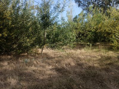 Lots Manz 378 s.9  Terreno esquinero en calle alternativa  Punta del Diablo