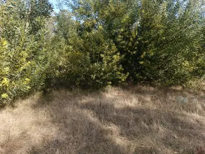 Terrenos Manz 378 s.9  Terreno esquinero en calle alternativa  Punta del Diablo