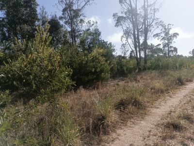 Lots Manz 378 s.9  Terreno esquinero en calle alternativa  Punta del Diablo