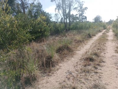 Lots Manz 378 s.9  Terreno esquinero en calle alternativa  Punta del Diablo