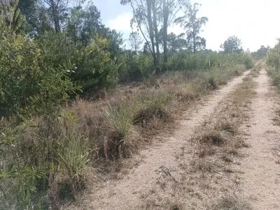 Terrenos Manz 378 s.9  Terreno esquinero en calle alternativa  Punta del Diablo
