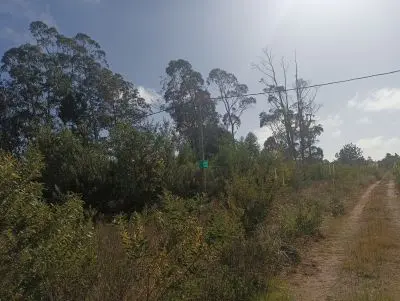 Terrenos Manz 378 s.9  Terreno esquinero en calle alternativa  Punta del Diablo