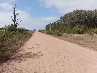 Lots Manz 378 s.9  Terreno esquinero en calle alternativa  Punta del Diablo