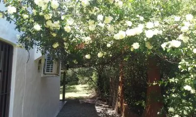 Casas|Cabanas|Aptos|Complexos ... duplex agua Salá  San Francisco