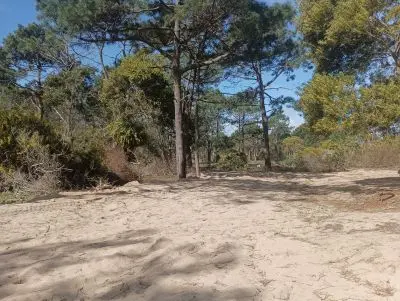 M. 263 S 2.No pierdas la oportunidad de tener tu terreno 