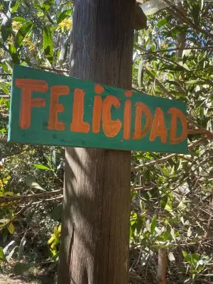 House Morena Punta del Diablo