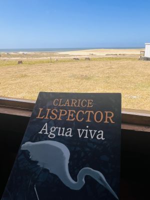 Cabaña Cabaña Océano y campo Atlántica