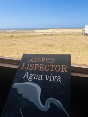 Cabana Cabaña Océano y campo Atlántica