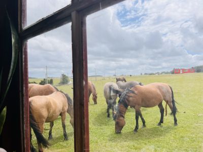 Cabaña Cabaña Océano y campo Atlántica
