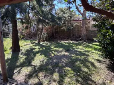 La Anaranjada-Punta Negra