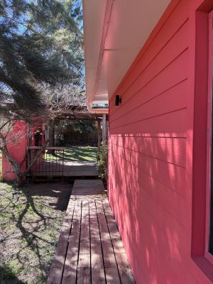 La Anaranjada-Punta Negra