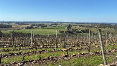 La Anaranjada-Punta Negra