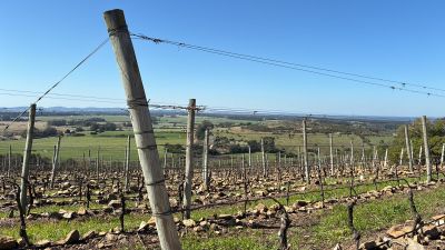 La Anaranjada-Punta Negra