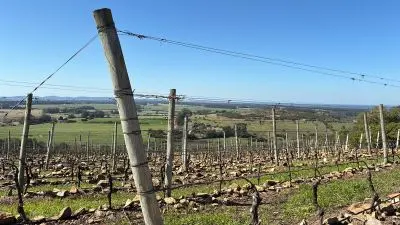 La Anaranjada-Punta Negra