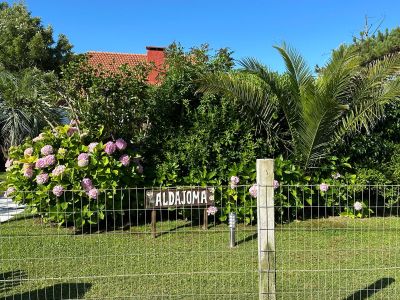 Aldajoma - La Paloma