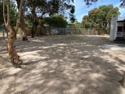 La Cabaña de Alicia - Anaconda - La Paloma