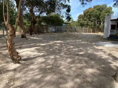 La Cabaña de Alicia - Anaconda - La Paloma