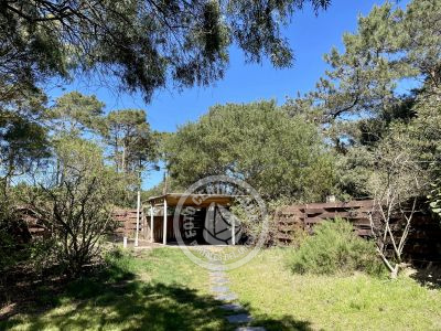 Casa Pitanga. casitas del bosque. Punta del Diablo