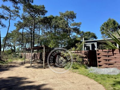 Casa Anacahuita- Casitas del bosque  Punta del Diablo