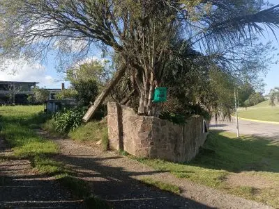 Terreno Castillos frente al trebol ruta 9 