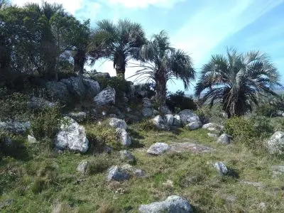 Chacra turistica Camino de los Indios