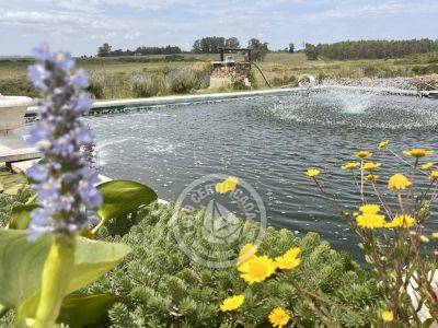 Apartamento Casa junto al Lago Piriápolis