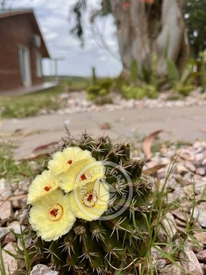 Apartamento Casa junto al Lago Piriápolis