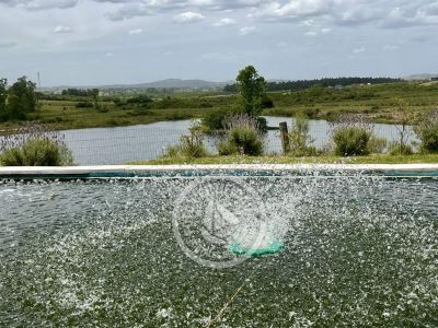 Apartamento Casa junto al Lago Piriápolis