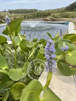 Apartamento Casa junto al Lago Piriápolis