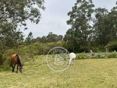 Apartamento Casa junto al Lago Piriápolis