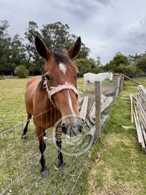 Apartamento Casa junto al Lago Piriápolis