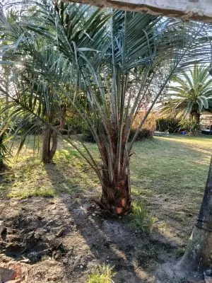 House AYRA  La Paloma