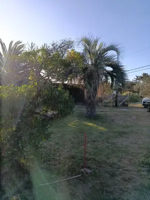 House AYRA  La Paloma