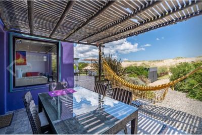 La Violeta - Tio Tom