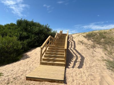 La Violeta - Tio Tom