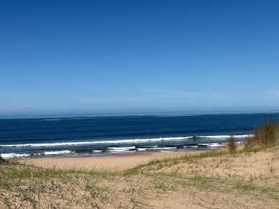 La Violeta - Tio Tom