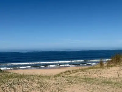 La Violeta - Tio Tom