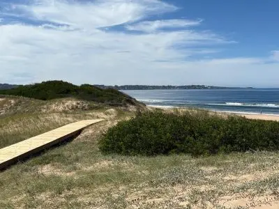 La Violeta - Tio Tom