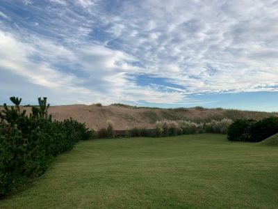 La Violeta - Tio Tom