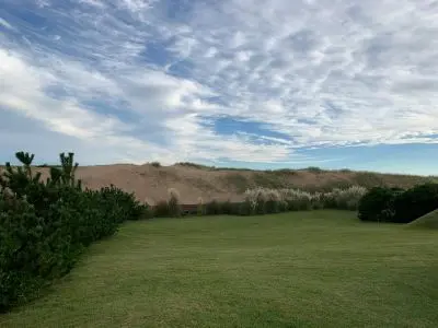 La Violeta - Tio Tom