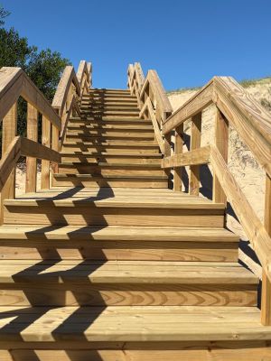 La Violeta - Tio Tom