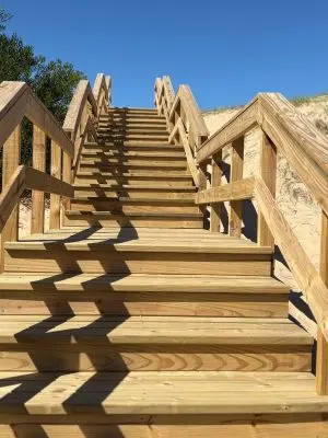 La Violeta - Tio Tom